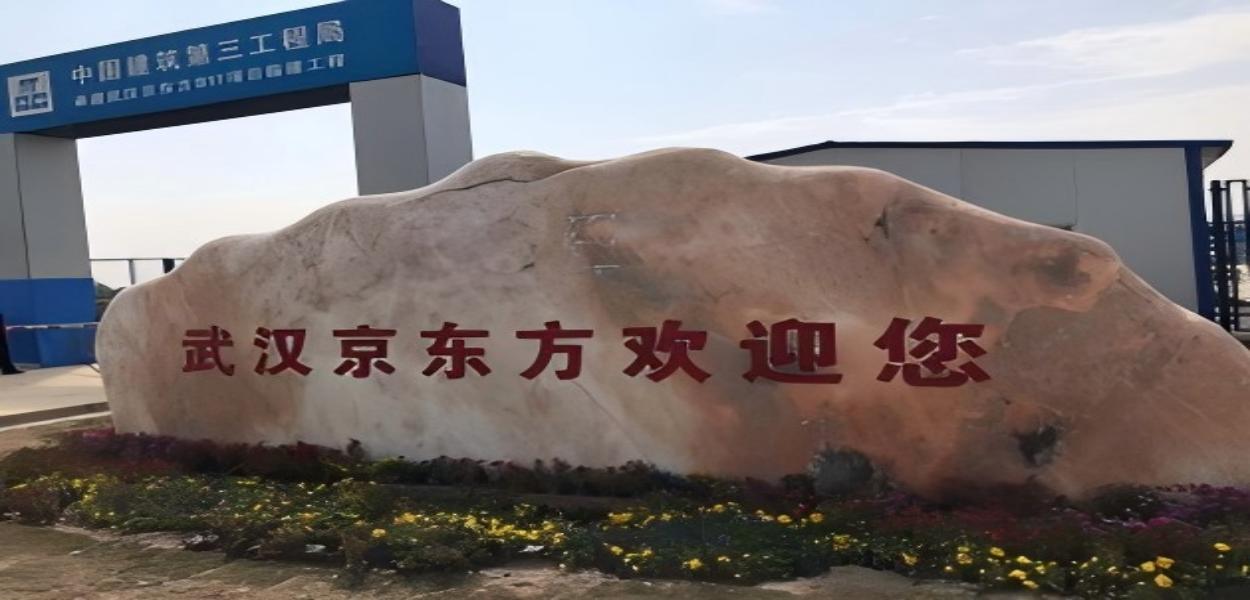 武漢BOE京東方B11項目 pic